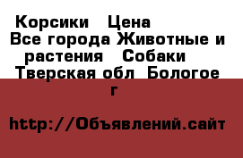 Корсики › Цена ­ 15 000 - Все города Животные и растения » Собаки   . Тверская обл.,Бологое г.